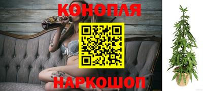 дживик Кунгур