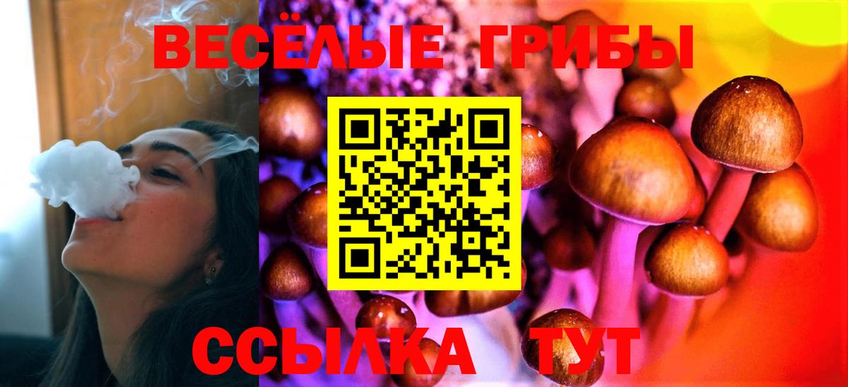 Зеленогорск  Псилоцибиновые грибы Magic Shrooms  Вход с VPN 
